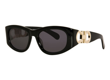 Salvatore Ferragamo SF1082S 001 Black/Smoke