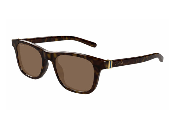 Gucci GG1671 006 Dark Havana/Brown