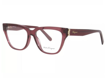 Salvatore Ferragamo SF2893 604 Burgundy 53mm