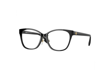 Burberry BE2345F 3001 Black 54mm