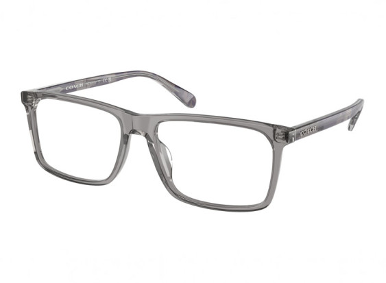 Coach HC6251U 5849 Transparent Grey 55mm