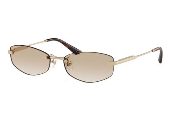 Jimmy Choo JC4013D 300611 Pale Gold/Gradient Grey