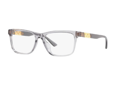 Versace VE3319F 593 Transparent Grey 55mm