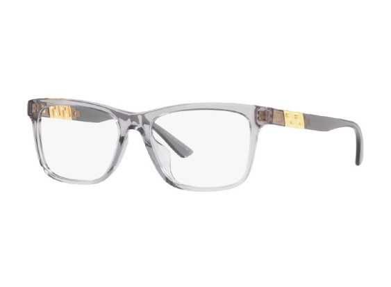 Versace VE3319F 593 Transparent Grey 55mm