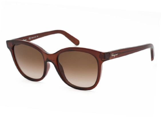 Salvatore Ferragamo SF834S 210 Transparent Brown/Brown