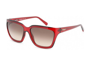 Salvatore Ferragamo SF1018S 655 Transparent Wine/Brown Gradient