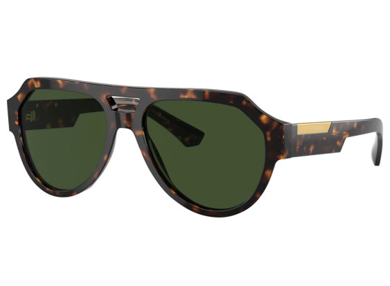 Dolce & Gabbana DG4466 502/71 Havana/Dark Green