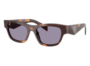 Prada PRB09S 15W03N Classic Tortoise/Grey 54mm