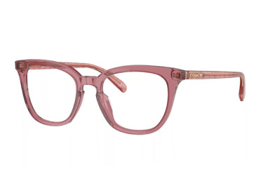 Coach HC6222U 5800 Transparent Berry 51mm