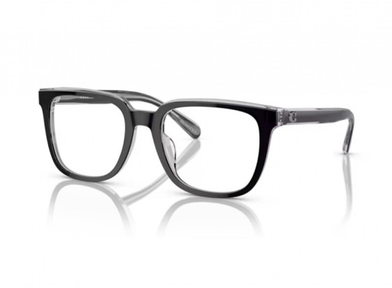 Coach HC6229U 5745 Dark Grey/Light Grey 54mm