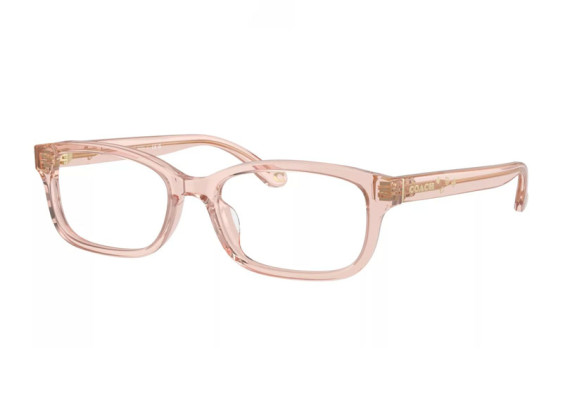 Coach HC6233U 5668 Transparent Dusty Rose 52mm