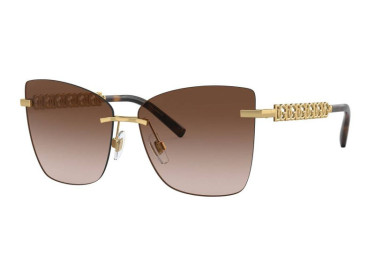 Dolce & Gabbana DG2289 02/13 Gold/Brown/Gradient Brown