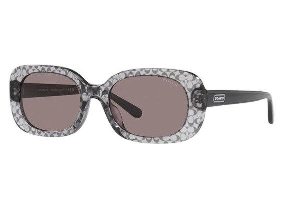 Coach HC8358U 57337N Grey Transparent/Grey Solid