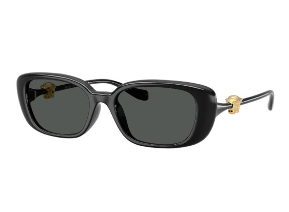 Versace VE4504D GB1/87 Shiny Black/Grey