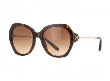 Chopard SCH354V 0743 Shiny Brown Havana/Gold/Brown Gradient