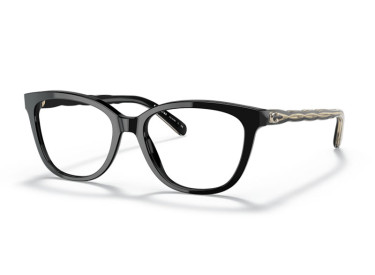Coach HC6186 5002 Black 51mm