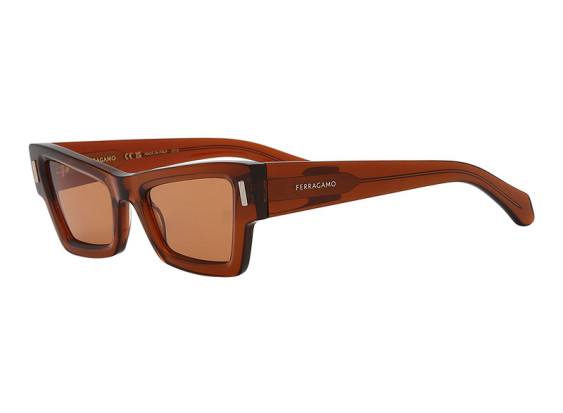Salvatore Ferragamo SF2006S 232 Transparent Brown/Brown