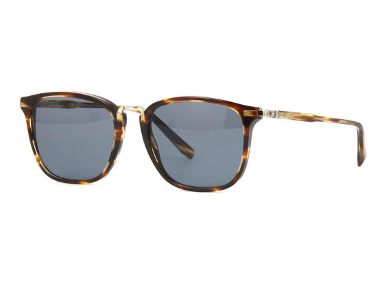 Salvatore Ferragamo SF910S 216 Striped Brown/Blue