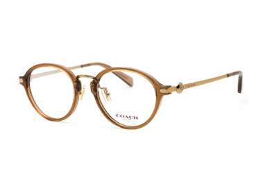 Coach HC6183D 5654 Transparent Brown 50mm