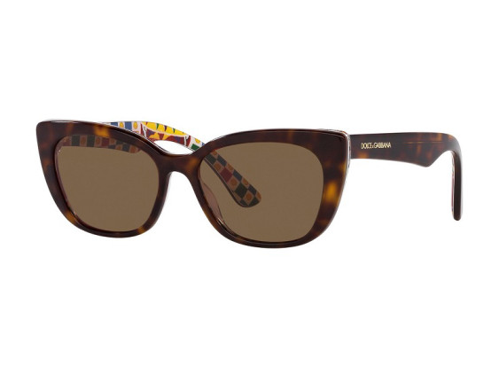 Dolce & Gabbana DX4427 321773 Havana On White Barrow/Dark Brown