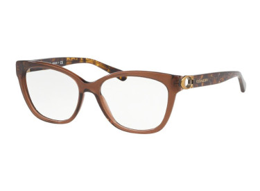 Coach HC6120 5035 Transparent Brown 52mm
