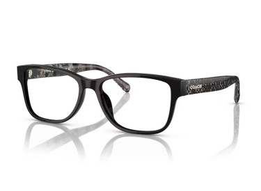 Coach HC6208U 5002 Black 54mm