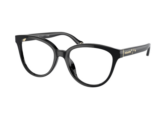 Coach HC6234U 5002 Black 53mm
