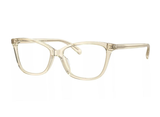 Coach HC6206U 5736 Transparent Fawn 54mm
