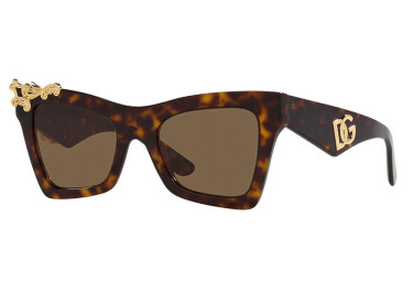 Dolce & Gabbana DG4434 502/73 Dark Tortoise/Dark Brown