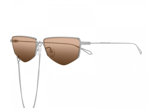 Alexander McQueen MQ0271SA 002 Silver/Brown