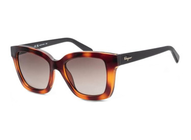 Salvatore Ferragamo SF955S 214 Havana/Brown Gradient