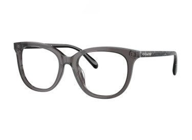 Coach HC6223U 5785 Transparent Grey 51mm