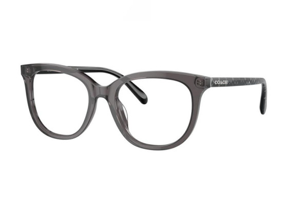 Coach HC6223U 5785 Transparent Grey 51mm