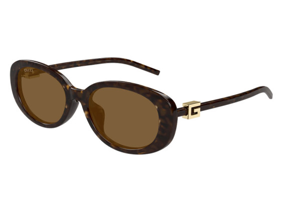 Gucci GG1684SA 004 Dark Havana/Brown