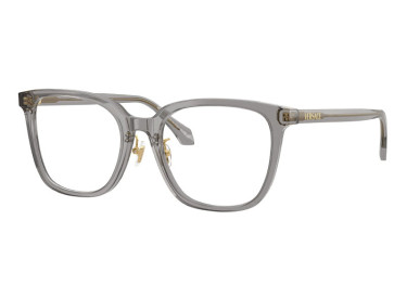 Versace VE3378D 5510 Transparent Grey 54mm