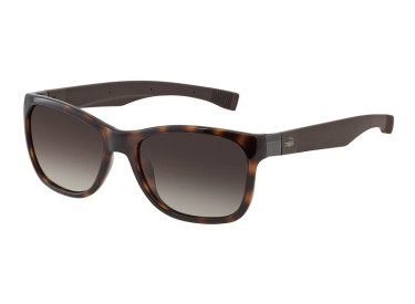 Lacoste L662S 214 Havana/Brown Gradient