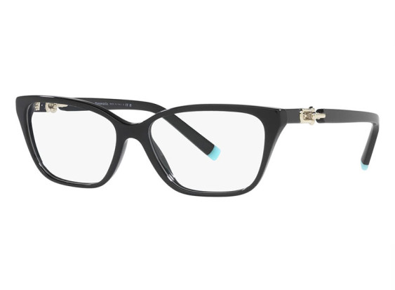 Tiffany & Co. TF2229 8001 Black 55mm