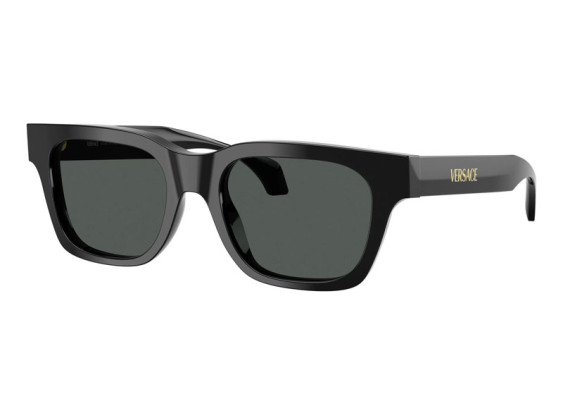 Versace VE4486 GB1/87 Black/Grey