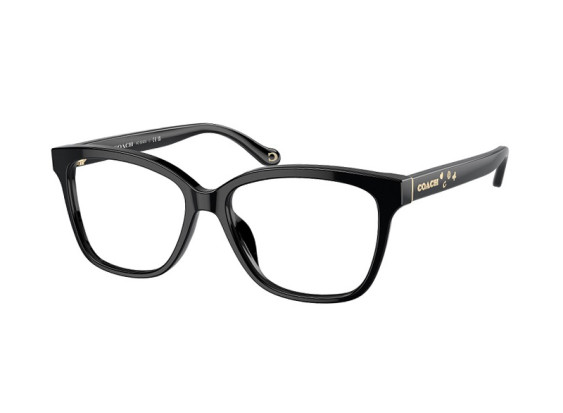 Coach HC6242U 5002 Black 53mm