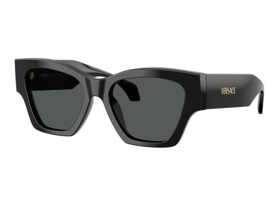 Versace VE4492U GB1/87 Black/Dark Grey