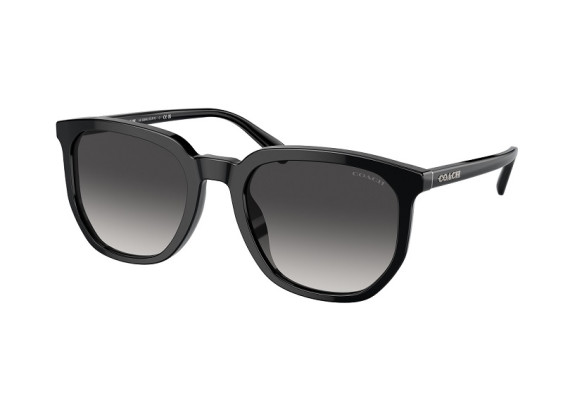 Coach HC8384U 50028G Black/Grey Gradient