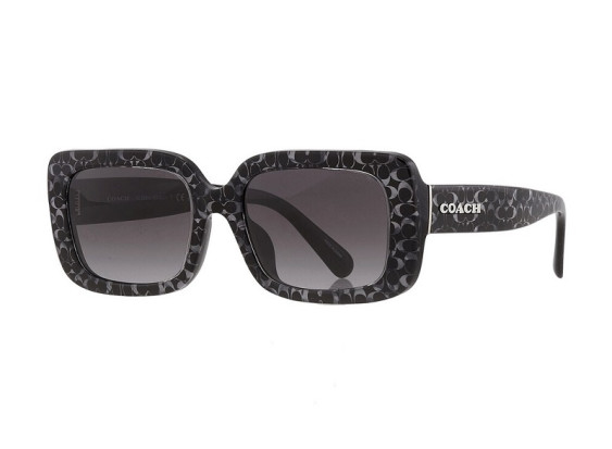 Coach HC8380U 55208G Grey Pearl Signature C/Grey Gradient