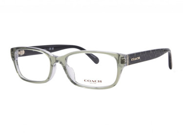 Coach HC6221U 5786 Transparent Green Hopper 54mm