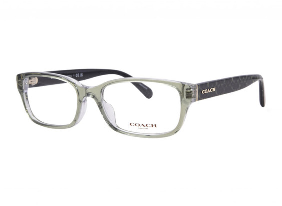 Coach HC6221U 5786 Transparent Green Hopper 54mm