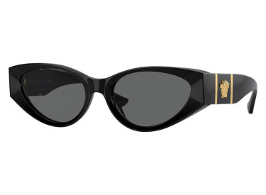 Versace VE4454 GB1/87 Black/Dark Gray