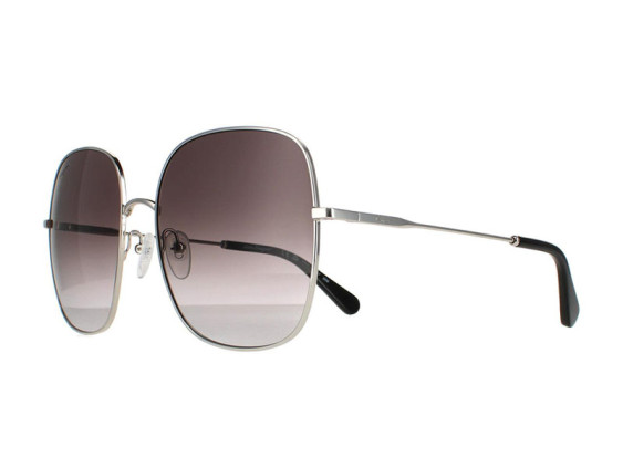 Salvatore Ferragamo SF300S 041 Silver / Grey Gradient