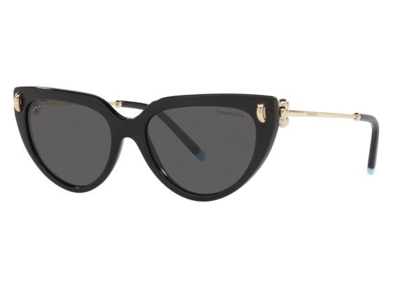 Tiffany & Co. TF4195F 8001S4 Black/Dark Grey