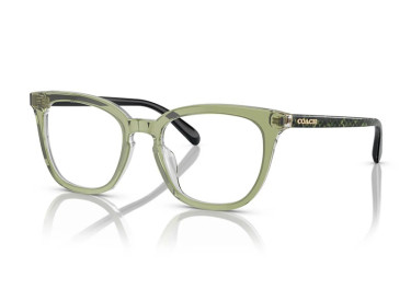 Coach HC6222U 5786 Transparent Green Hopper 49mm