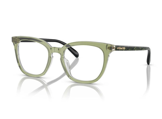 Coach HC6222U 5786 Transparent Green Hopper 49mm