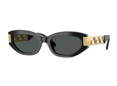 Versace VE4501 GB1/87 Shiny Black/Grey